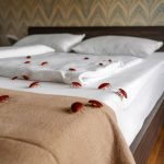 Pourquoi les punaises de lit résistent-elles aux insecticides traditionnels ?